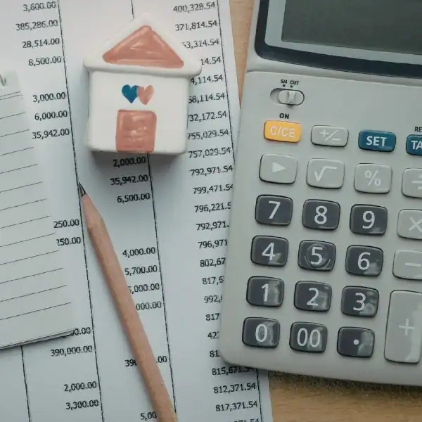 Image of accounts in regards to financial mediation 